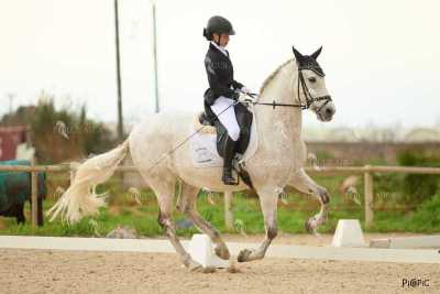 DOMA02032025M-211