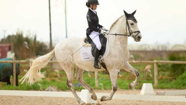 DOMA02032025M-211