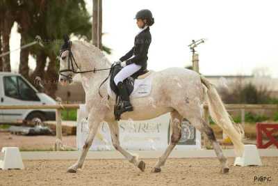 DOMA02032025M-213