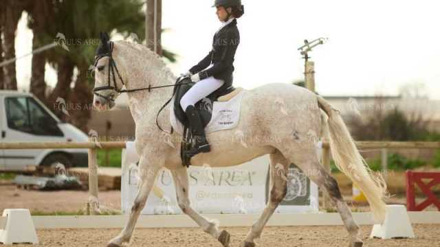 DOMA02032025M-213