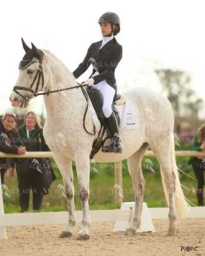 DOMA02032025M-214