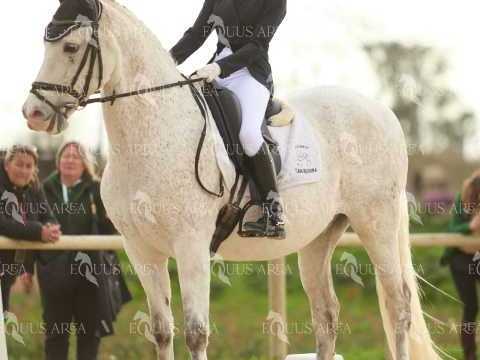 DOMA02032025M-214