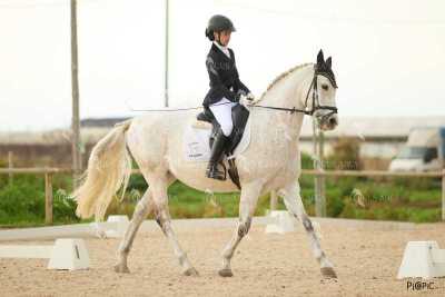 DOMA02032025M-215
