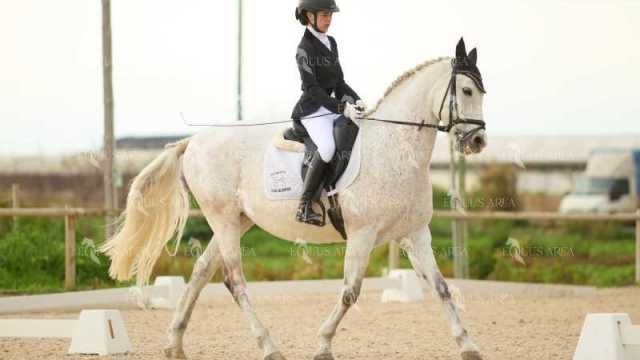 DOMA02032025M-215