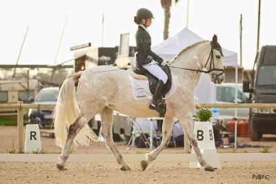 DOMA02032025M-216