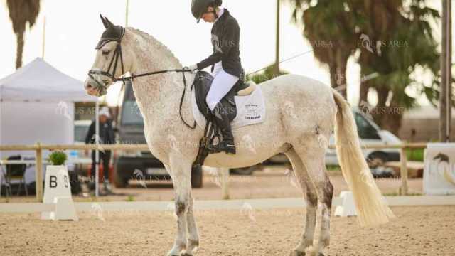 DOMA02032025M-217