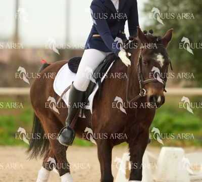 DOMA02032025M-218