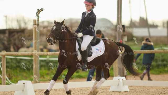 DOMA02032025M-219