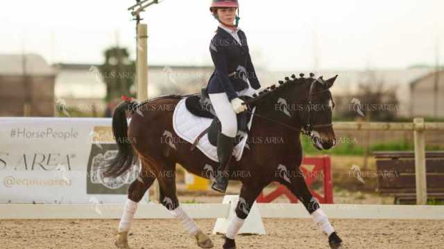 DOMA02032025M-223
