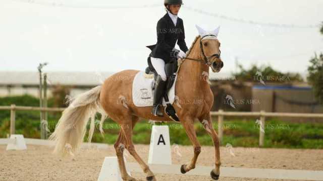 DOMA02032025M-226