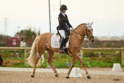 DOMA02032025M-227