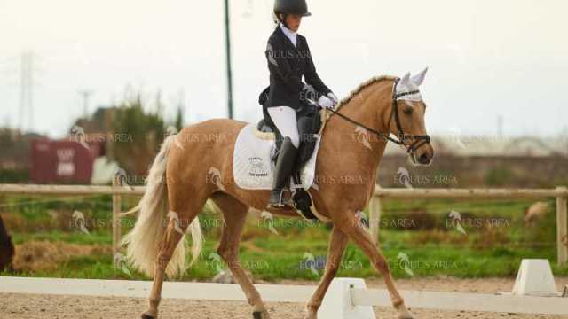 DOMA02032025M-227