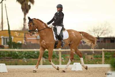 DOMA02032025M-234