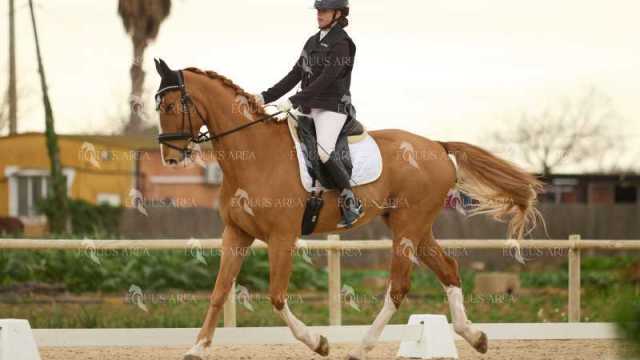 DOMA02032025M-234