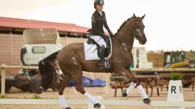 DOMA02032025M-236