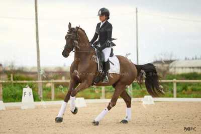 DOMA02032025M-237