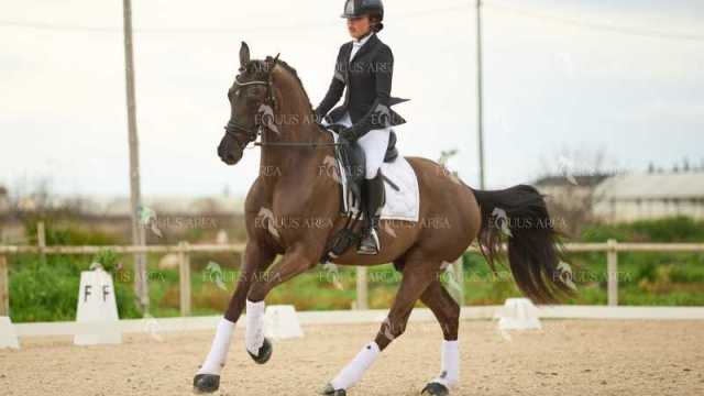 DOMA02032025M-237