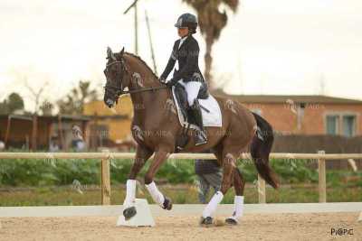 DOMA02032025M-238