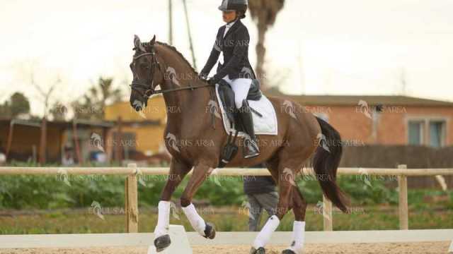 DOMA02032025M-238