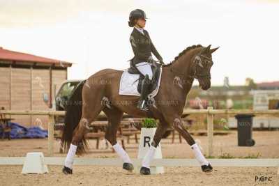 DOMA02032025M-239