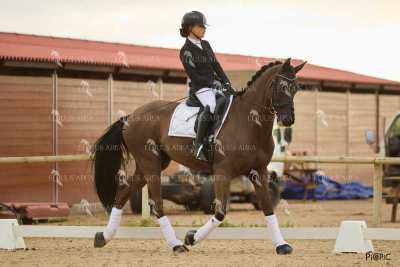 DOMA02032025M-240