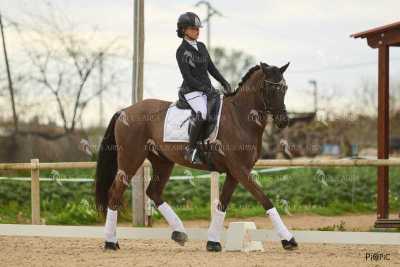 DOMA02032025M-241