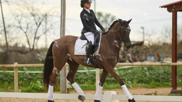 DOMA02032025M-241