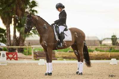 DOMA02032025M-242