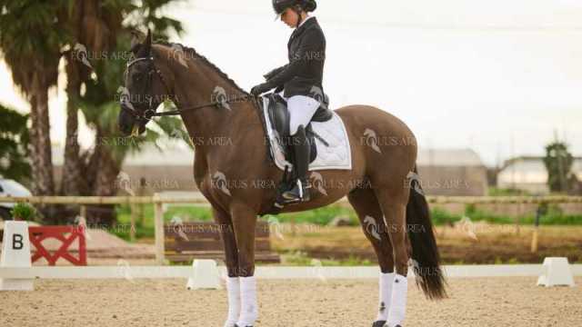 DOMA02032025M-242