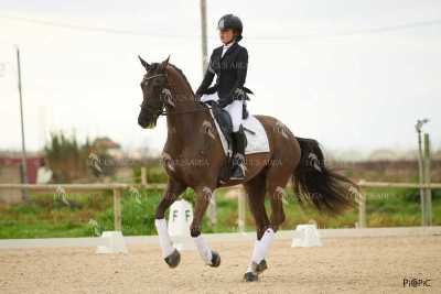 DOMA02032025M-243