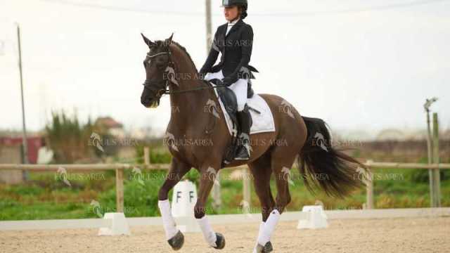DOMA02032025M-243