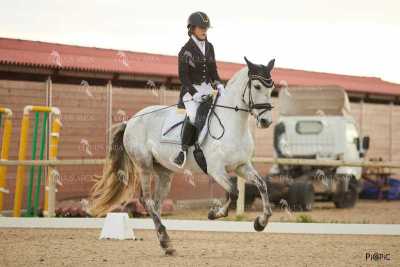 DOMA02032025M-245