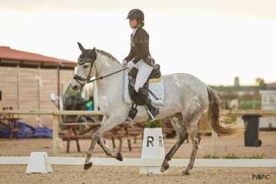 DOMA02032025M-246