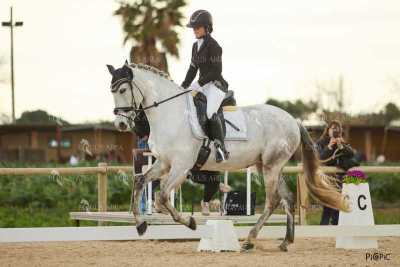 DOMA02032025M-247