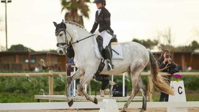 DOMA02032025M-247
