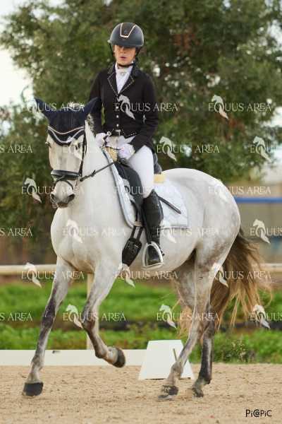 DOMA02032025M-248