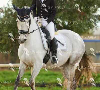 DOMA02032025M-248