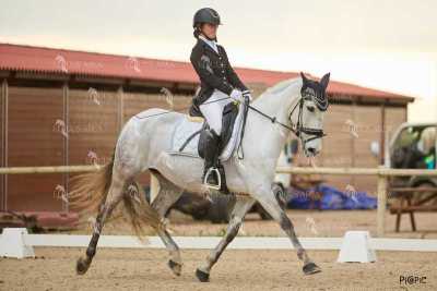 DOMA02032025M-249