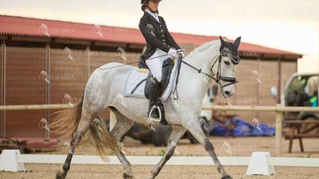 DOMA02032025M-249