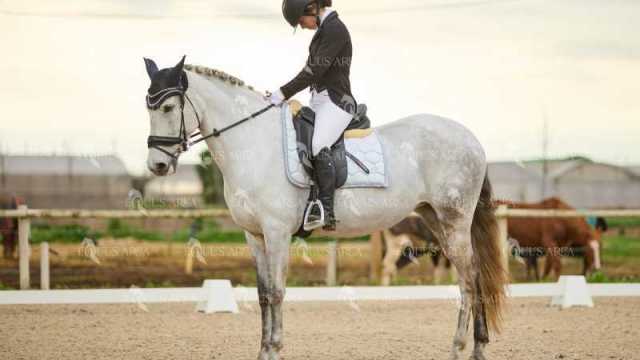 DOMA02032025M-251