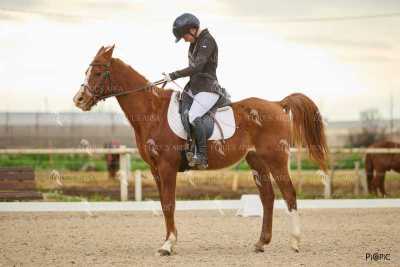 DOMA02032025M-255