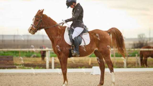 DOMA02032025M-255