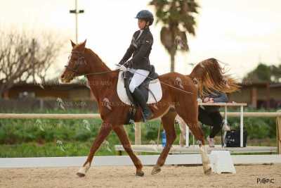 DOMA02032025M-258