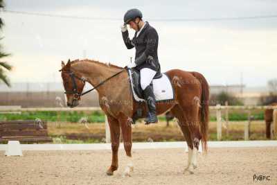 DOMA02032025M-259