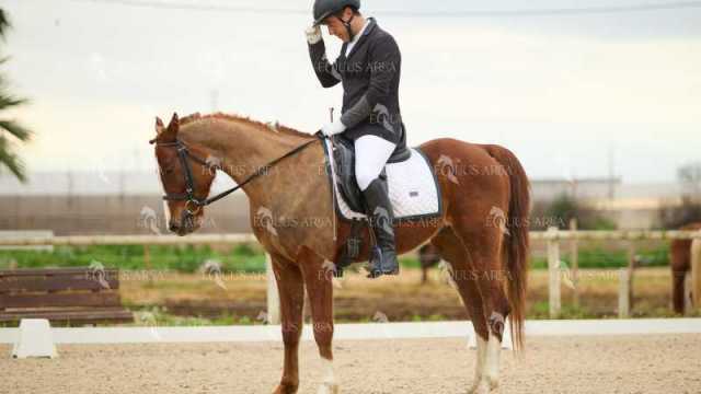 DOMA02032025M-259