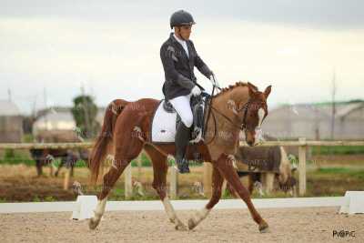 DOMA02032025M-262