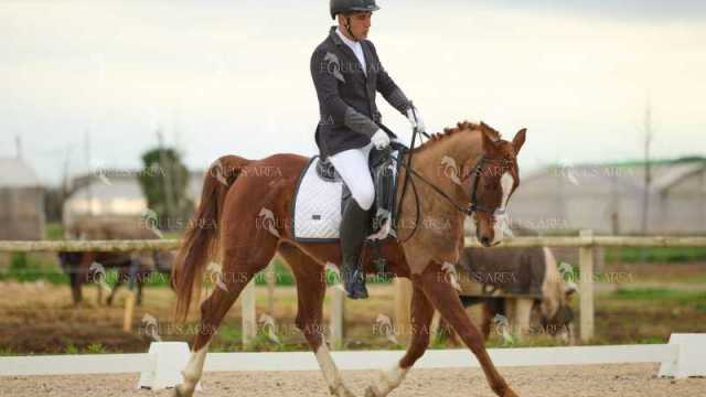 DOMA02032025M-262