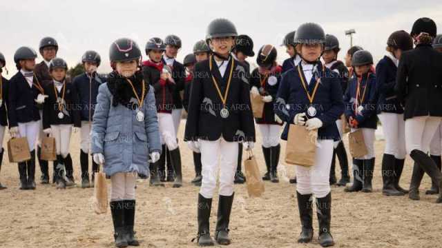 DOMA02032025M-290