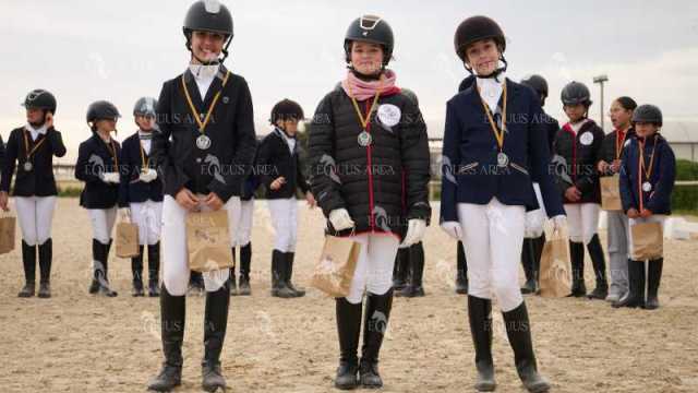 DOMA02032025M-291