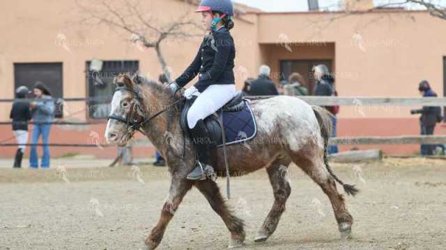DOMA02032025O-12